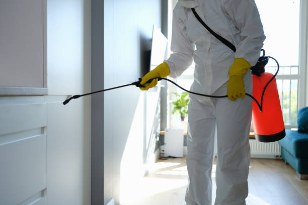 Best Crawl Space Mold Removal  in Highlands, TX